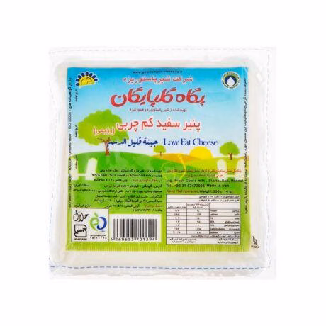 1696077051-پنیر-تازه-پاستوریزه-کم-چرب-رژیمی-پگاه-گلپایگان-350-گرم.jpg